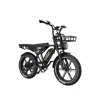 KOOLUX X9 Electric Bike